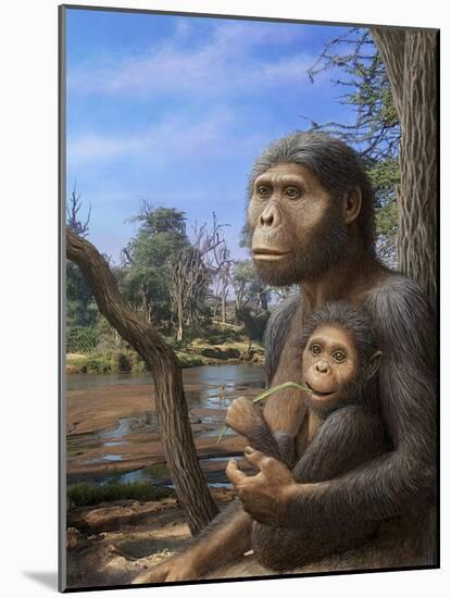 Australopithecus Afarensis, Artwork-Mauricio Anton-Mounted Photographic Print