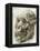 Australopithecus Afarensis Skull-Kennis and Kennis-Framed Premier Image Canvas