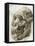 Australopithecus Afarensis Skull-Kennis and Kennis-Framed Premier Image Canvas