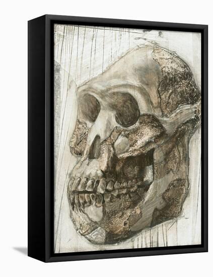 Australopithecus Afarensis Skull-Kennis and Kennis-Framed Premier Image Canvas