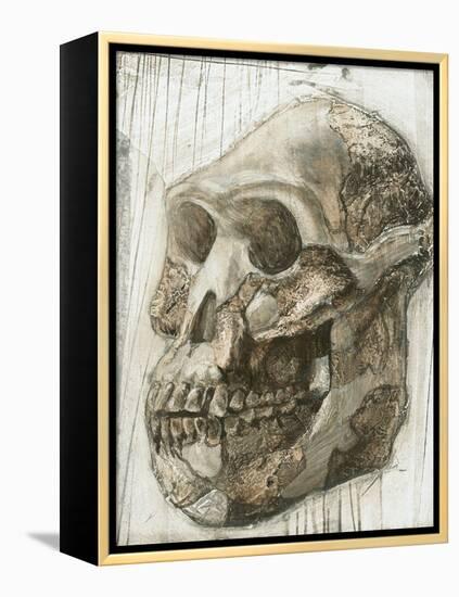 Australopithecus Afarensis Skull-Kennis and Kennis-Framed Premier Image Canvas