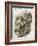 Australopithecus Afarensis Skull-Kennis and Kennis-Framed Photographic Print