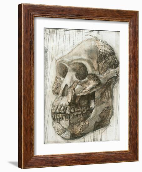 Australopithecus Afarensis Skull-Kennis and Kennis-Framed Photographic Print