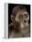 Australopithecus Afarensis-Javier Trueba-Framed Premier Image Canvas