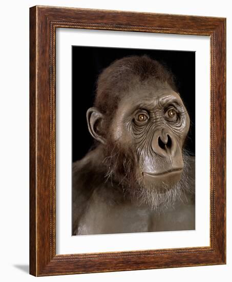 Australopithecus Afarensis-Javier Trueba-Framed Photographic Print