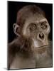 Australopithecus Afarensis-Javier Trueba-Mounted Photographic Print