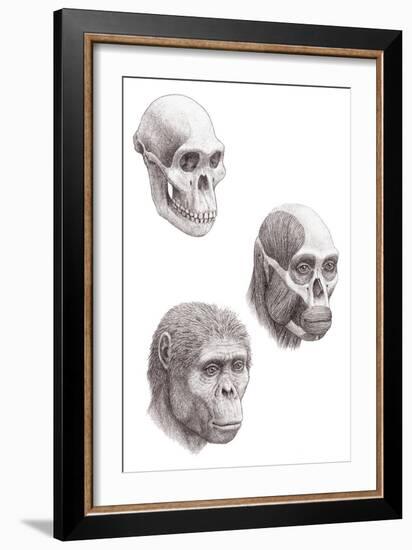 Australopithecus Africanus-Mauricio Anton-Framed Photographic Print