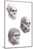 Australopithecus Africanus-Mauricio Anton-Mounted Photographic Print