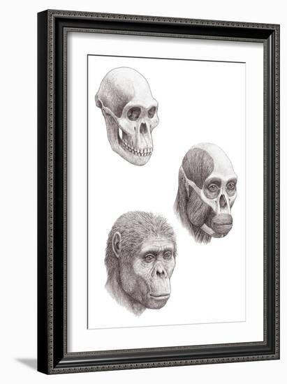 Australopithecus Africanus-Mauricio Anton-Framed Photographic Print