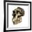 Australopithecus Boisei Skull-Friedrich Saurer-Framed Photographic Print