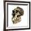 Australopithecus Boisei Skull-Friedrich Saurer-Framed Photographic Print