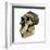 Australopithecus Boisei Skull-Friedrich Saurer-Framed Photographic Print