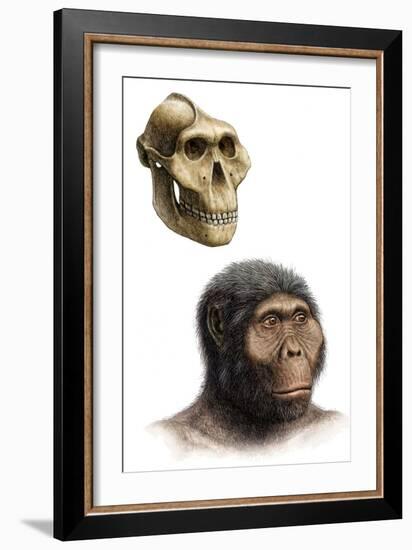 Australopithecus Boisei-Mauricio Anton-Framed Photographic Print