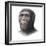 Australopithecus Sediba Head-Mauricio Anton-Framed Premium Photographic Print