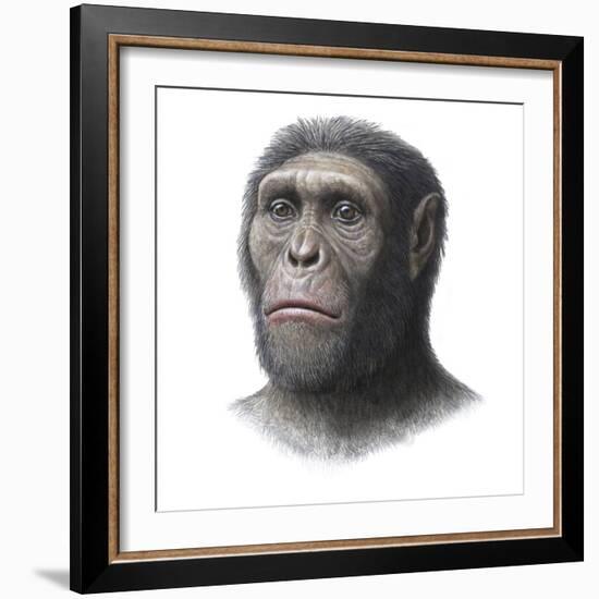 Australopithecus Sediba Head-Mauricio Anton-Framed Premium Photographic Print