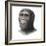 Australopithecus Sediba Head-Mauricio Anton-Framed Premium Photographic Print