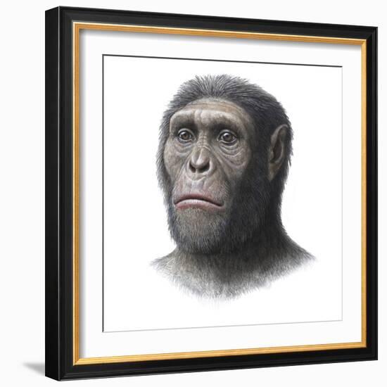 Australopithecus Sediba Head-Mauricio Anton-Framed Premium Photographic Print