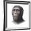 Australopithecus Sediba Head-Mauricio Anton-Framed Photographic Print