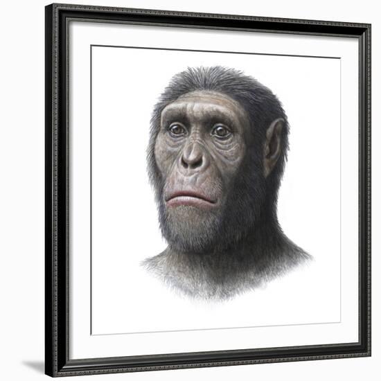 Australopithecus Sediba Head-Mauricio Anton-Framed Photographic Print