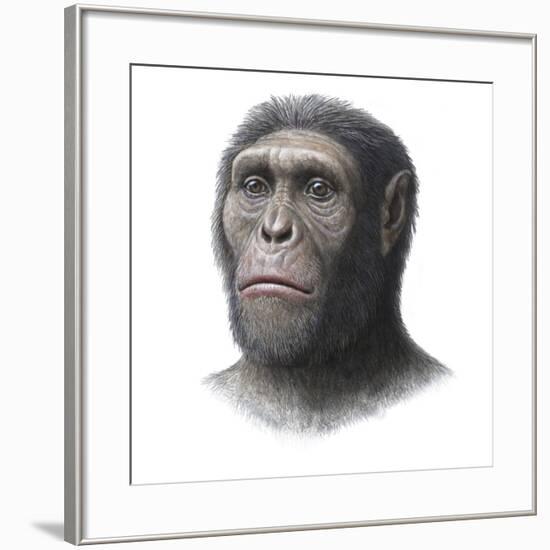 Australopithecus Sediba Head-Mauricio Anton-Framed Photographic Print