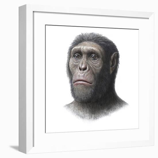 Australopithecus Sediba Head-Mauricio Anton-Framed Photographic Print