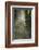 Austria, Bregenz Forest, polypores-Roland T. Frank-Framed Photographic Print