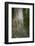 Austria, Bregenz Forest, polypores-Roland T. Frank-Framed Photographic Print