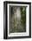 Austria, Bregenz Forest, polypores-Roland T. Frank-Framed Photographic Print