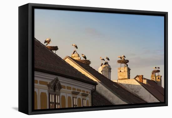 Austria, Burgenland-Udo Bernhart-Framed Premier Image Canvas