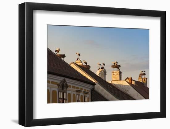 Austria, Burgenland-Udo Bernhart-Framed Photographic Print