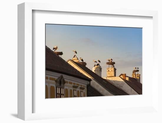 Austria, Burgenland-Udo Bernhart-Framed Photographic Print