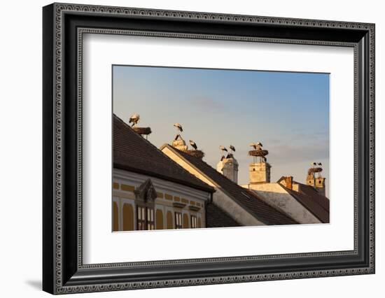 Austria, Burgenland-Udo Bernhart-Framed Photographic Print