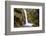 Austria, Carinthia, Karawanken, Ferlach, Loibltal-Udo Siebig-Framed Photographic Print