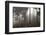 Austria, Carinthia, mountain wood, fog,-Simone Wunderlich-Framed Photographic Print