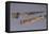 Austria, Hallstatt, Gold Dagger and Scabbard, Tomb 696-null-Framed Premier Image Canvas