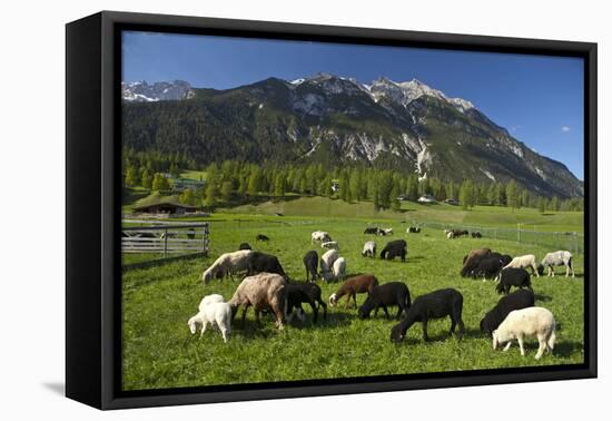 Austria, Leutasch-Ludwig Mallaun-Framed Premier Image Canvas