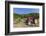 Austria, Lower Austria, Gumpoldskirchen, Vineyards-Gerhard Wild-Framed Photographic Print