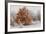 Austria, Lower Austria, Mšdling, Eichkogel, Hoarfrost, Oaks, Frost-Rainer Mirau-Framed Photographic Print