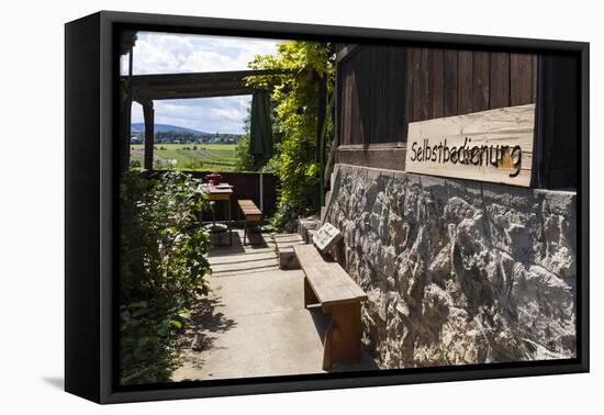 Austria, Lower Austria, Perchtoldsdorf (Village), Heuriger (Tavern), Self-Service Restaurant-Gerhard Wild-Framed Premier Image Canvas