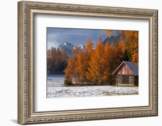 Austria, Mieminger Plateau, Larch Meadows-Ludwig Mallaun-Framed Photographic Print