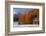 Austria, Mieminger Plateau, Larch Meadows-Ludwig Mallaun-Framed Photographic Print