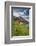 Austria, Salzburger Country, Radstaedter Tauern, Tappenkarsee, Tappenkarseehuette, Cows-Rainer Mirau-Framed Photographic Print