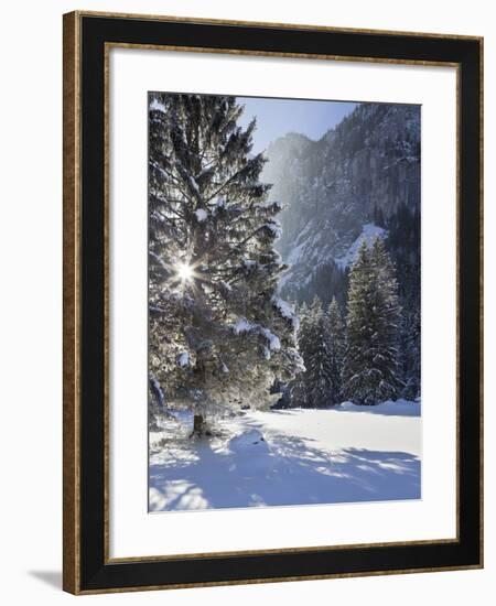 Austria, Styria, Rotmoos (Village), Winter, Wood-Rainer Mirau-Framed Photographic Print