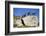 Austria, Styria, Schladminger Tauern, Rocks, Mountain-Goats, Nature-Rainer Mirau-Framed Photographic Print