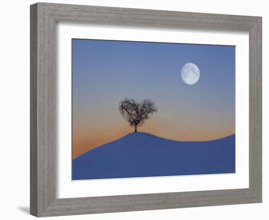 Austria, Tree with Tulfes (M)-Ludwig Mallaun-Framed Photographic Print