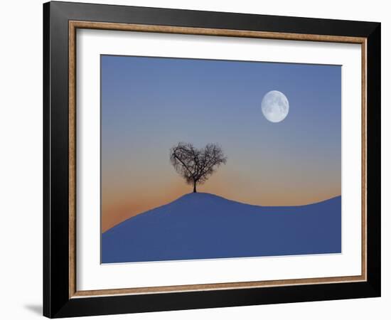 Austria, Tree with Tulfes (M)-Ludwig Mallaun-Framed Photographic Print