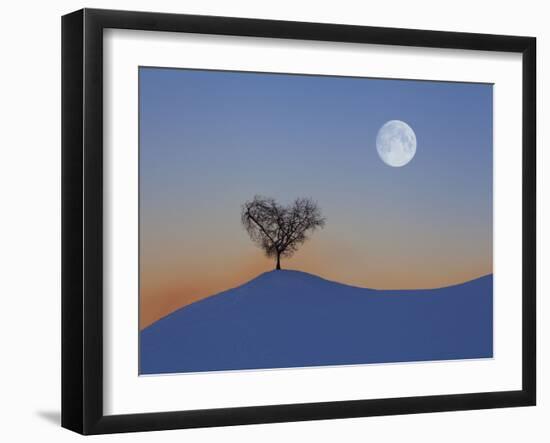 Austria, Tree with Tulfes (M)-Ludwig Mallaun-Framed Photographic Print