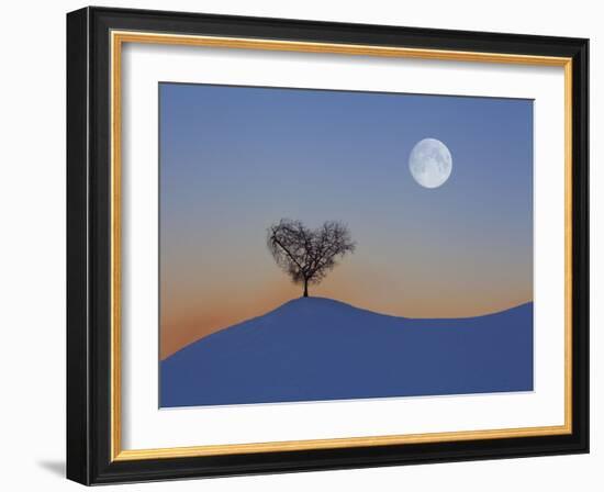 Austria, Tree with Tulfes (M)-Ludwig Mallaun-Framed Photographic Print