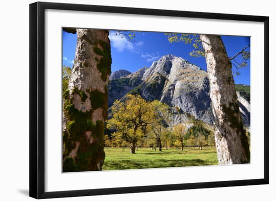 Austria, Tyrol, Autumn-Peter Lehner-Framed Photographic Print