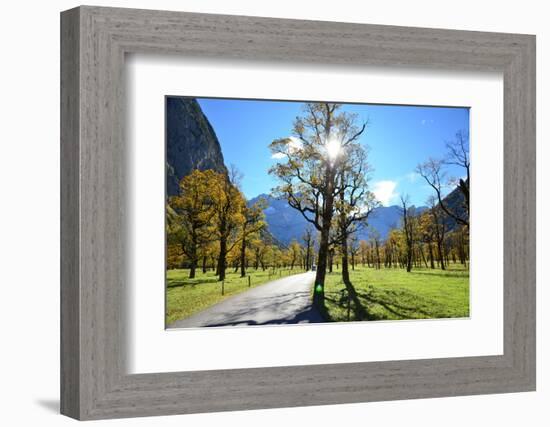 Austria, Tyrol, Autumn-Peter Lehner-Framed Photographic Print